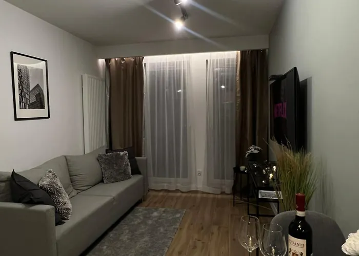 Wygodny Apartament Piotrkowska Centrum