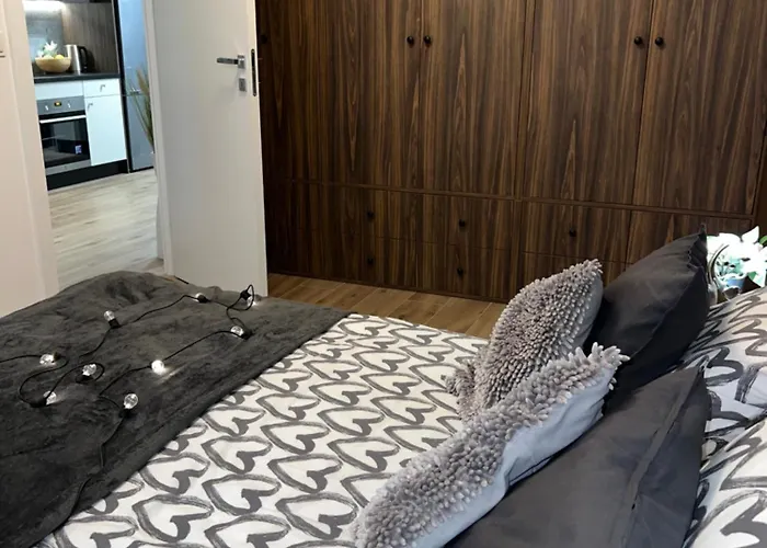 Wygodny Apartament Piotrkowska Centrum