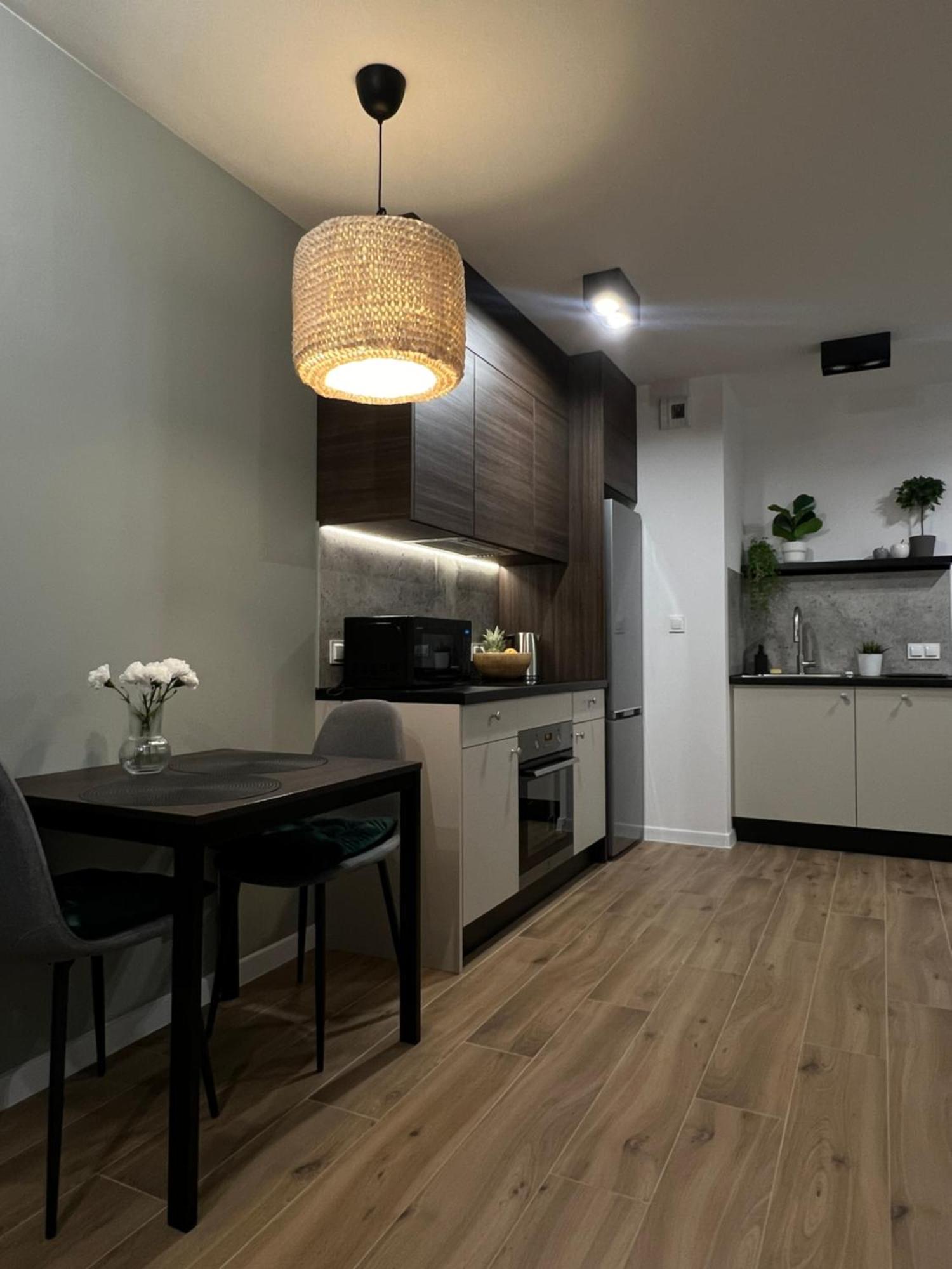 Apartment Wygodny Piotrkowska Centrum Lodz (Lodz)